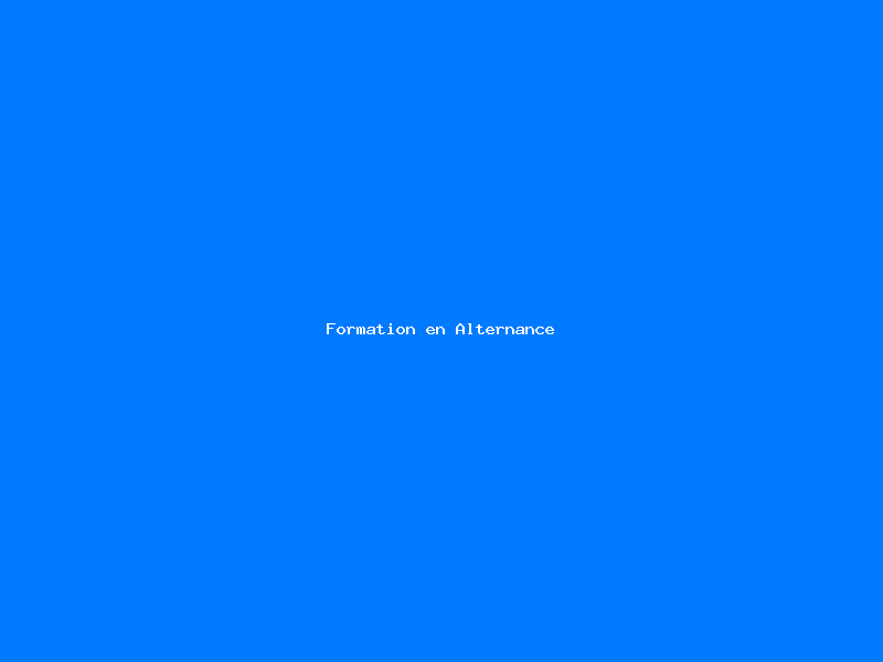 Formation en alternance